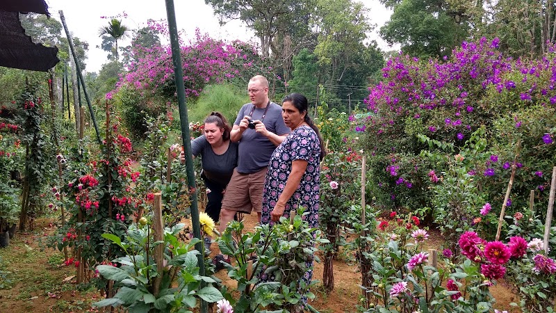 Flower Valley Plantation Homestay - Flower Valley Plantation Homestay Kurisupara, Munnar, Kerala 685565, India