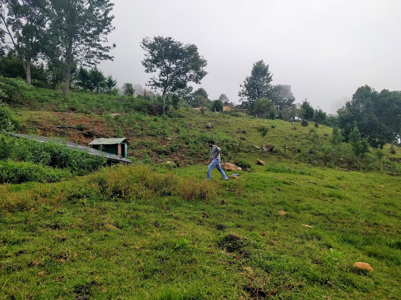 Acres Wild farmstay Coonoor - Acres Wild farmstay Coonoor, 571 Upper Meanjee Estate Kannimariamman, DM Kovil St, Coonoor, Tamil Nadu 643101, India