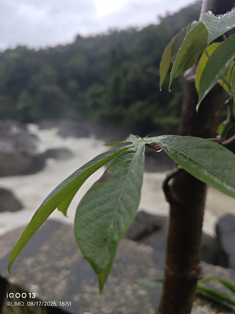 Kandiyar Rocks Waterfalls Viewpoint - Kandiyar Rocks Waterfalls Viewpoint XX9W+Q9P, Kallarkutty Dam Rd, Keralam 685562, India