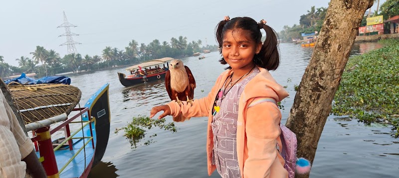 Alleppey Backwaters - Alleppey Backwaters F8XQ+6GH, Erezha, Mullakkal, Alappuzha, Keralam 688001, India