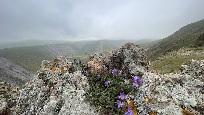 روستای موئیل - روستای موئیل, Moeil, روستای موئیل، استان اردبیل،، 7PW8+7GM, Iran