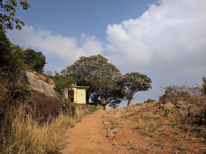 Turahalli Forest - Turahalli Forest 100 Feet Rd, Thurahalli, Bengaluru, Karnataka 560109, India