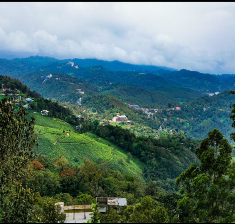 Winter Gardens Mountains View - Winter Gardens Mountains View, Behind pallivasel Panchayat Office,2nd Mile, Idukki Twp, Kerala 685565, India
