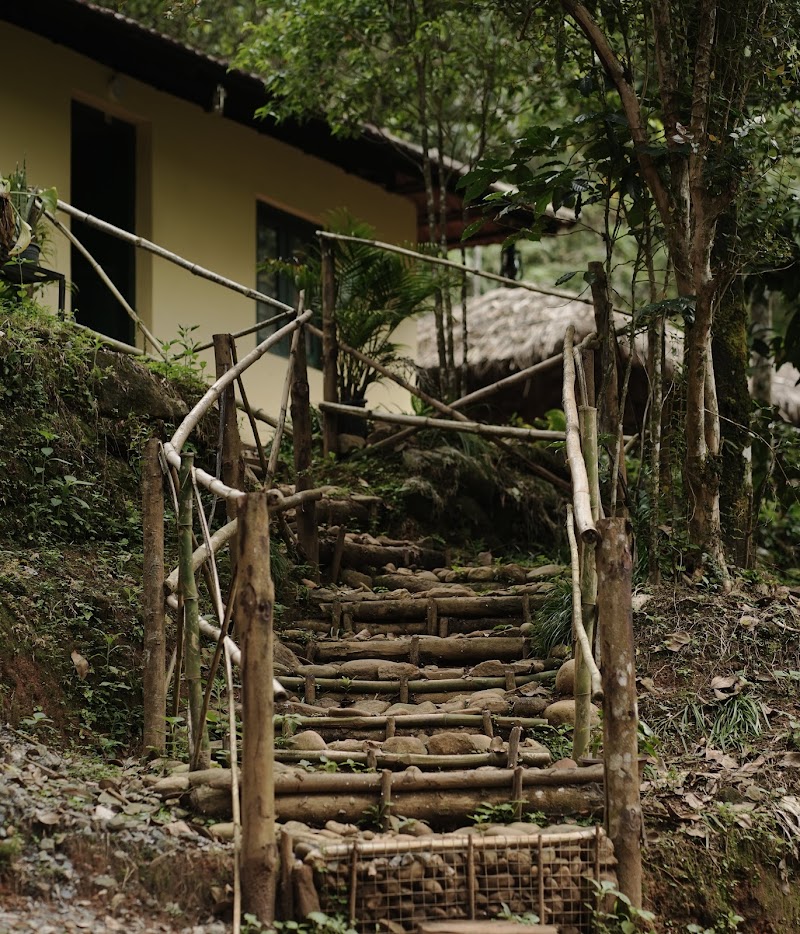 Utopia Wayanad - Utopia Wayanad, NO:8, Vellarimala ,Vellarimala ( PO Chooralmala, Meppadi, Vellarimala, Keralam 673577, India