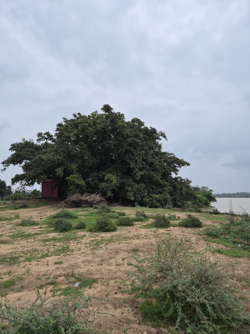 Bargad New Shivnath Spot - Bargad New Shivnath Spot, 67PC+84, Durg, Chhattisgarh 491001, India