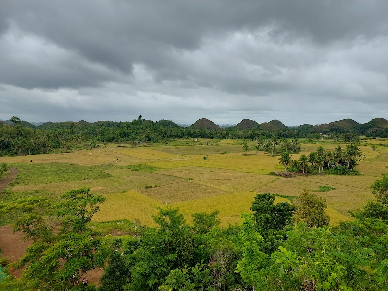 Graham ATV Rental - Graham ATV Rental, Tamboan, TAMBOAN, Carmen, Bohol, Philippines