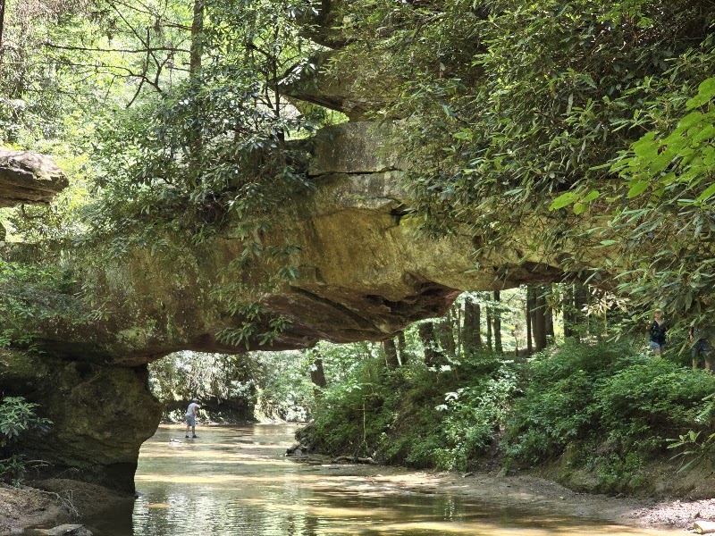 Natural Bridge State Park Woodland Center - Natural Bridge State Park Woodland Center 2135 Natural Bridge Road Slade, 2135 Cottage Rd, Slade, KY 40376, USA
