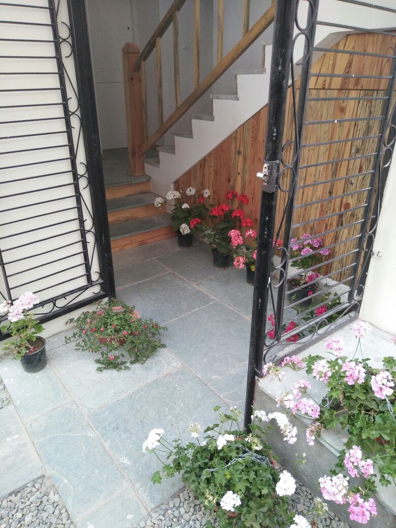 The Pinewood, Nainital - The Pinewood, Nainital, near La Niwasa, Mallital, Nainital, Uttarakhand 263001, India