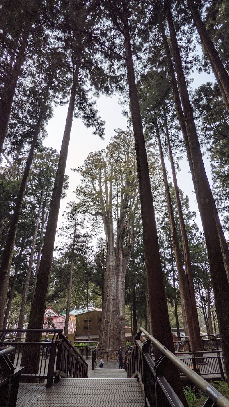 Ciyun Temple Scenery - Ciyun Temple Scenery 605, Taiwan, Yunlin County, Alishan Township, 台1丁線9"N號23°31'05. 120°48'23.