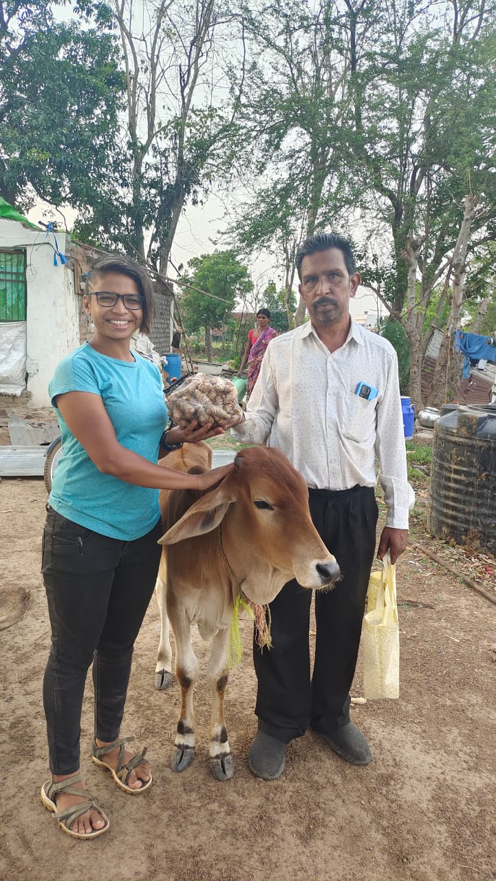 Shreshtha Desi Gau Panchgvya Anusandhan Sansthan - Shreshtha Desi Gau Panchgvya Anusandhan Sansthan, C/o Shyam Prakash Sahu House Number 463, Street 30, Sunder Nagar, Raipur, Chhattisgarh 490042, India
