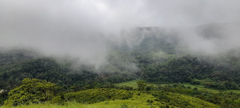 Secret Meadow Homestay Coorg - Secret Meadow Homestay Coorg Galibidu, Karnataka 571202, India