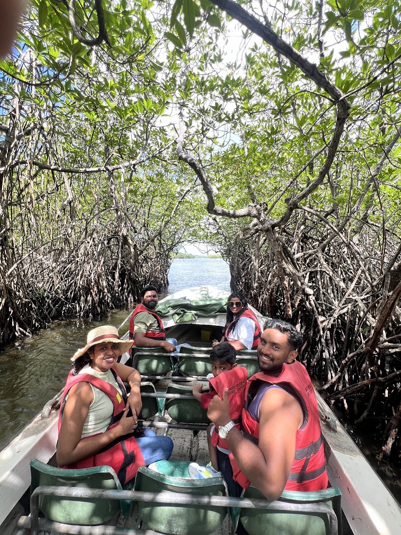 Madu Queen Boat Safari | Madu River - Madu Queen Boat Safari | Madu River, Nandana Gardens, Balapitiya 80550, Sri Lanka