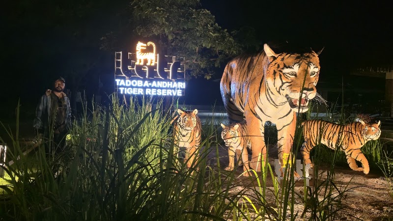 Tadoba Moharli Gate (Core Zone) - Tadoba Moharli Gate (Core Zone) 58RM+QXP, Moharli, Maharashtra 442404, India