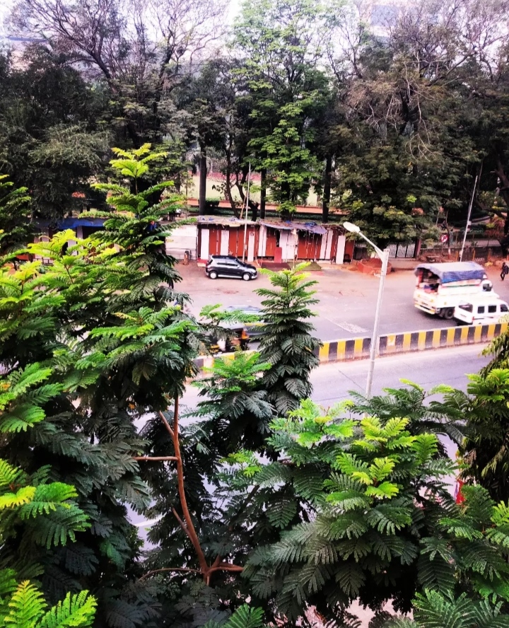Linking Road - Linking Road, Linking Rd, Khar West, Mumbai, Maharashtra, India