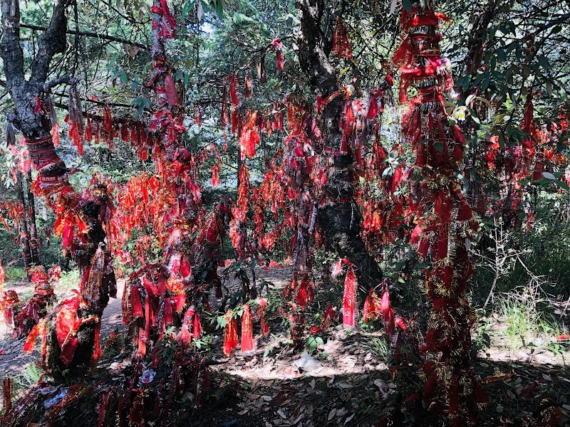 Dunagiri Temple - Dunagiri Temple, Malla Surana, Uttarakhand 263653, India