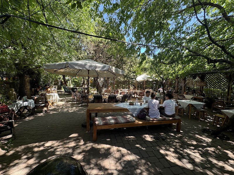 ChocolaTree Organic Eatery - ChocolaTree Organic Eatery, 1595 AZ-89A, Sedona, AZ 86336, USA