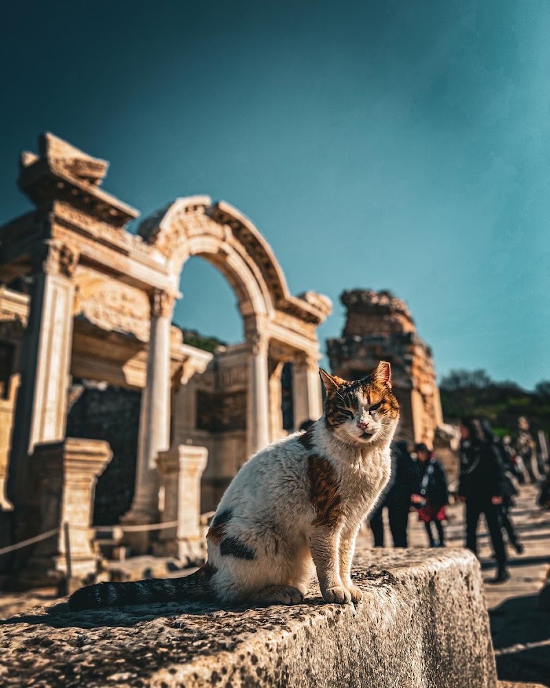 Ancient Greek Agora - Ancient Greek Agora Atatürk, 35920 Selçuk/İzmir, Türkiye