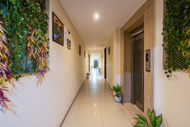 Comfort Plaza Hotel - Comfort Plaza Hotel 256/9, Main Road, Pocket 10B, Jasola Vihar, New Delhi, Delhi 110025, India