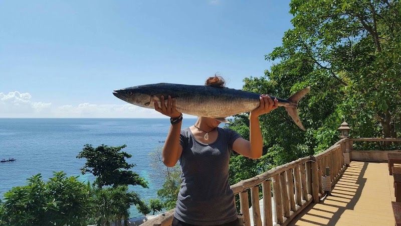 Taatoh Seaview Resort - Taatoh Seaview Resort 44 Moo 3, Shark bay zone kohtao koh phangun, ตำบล เกาะเต่า อำเภอเกาะพะงัน สุราษฎร์ธานี 84360, Thailand