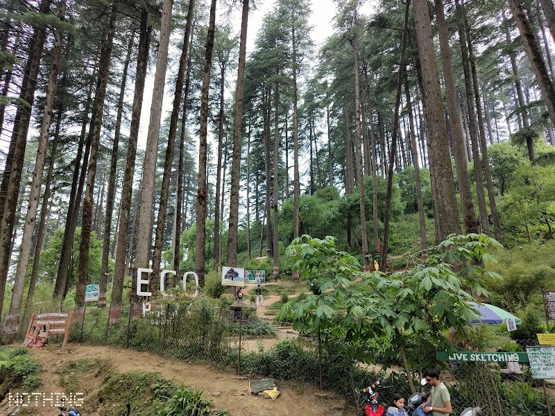 Eco Park - Eco Park Chamba - Mussoorie Rd, Dhanolti, Uttarakhand 249180, India