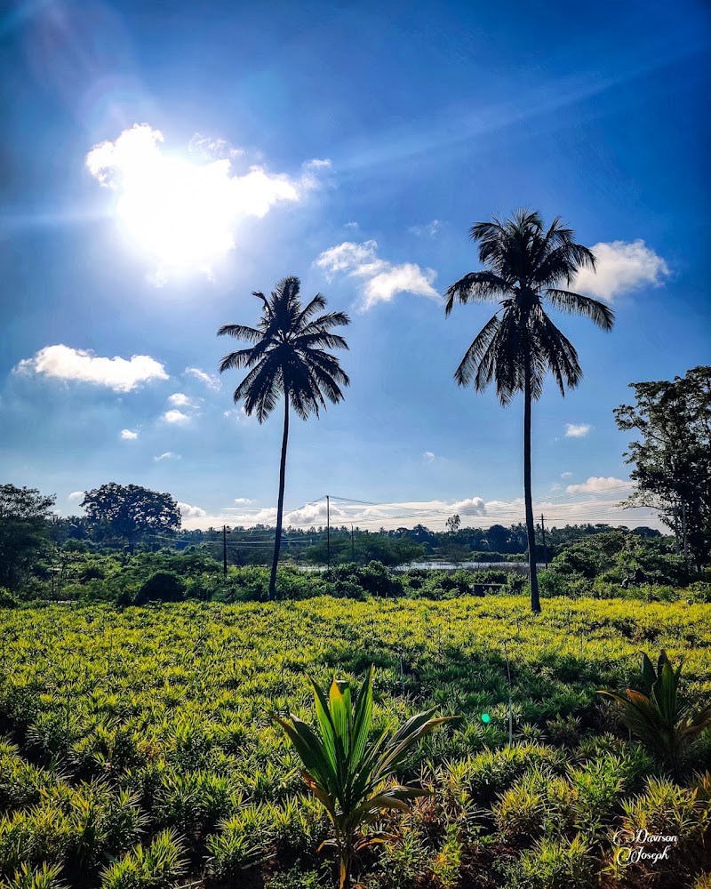 Hunsur - Hunsur, Karnataka, India