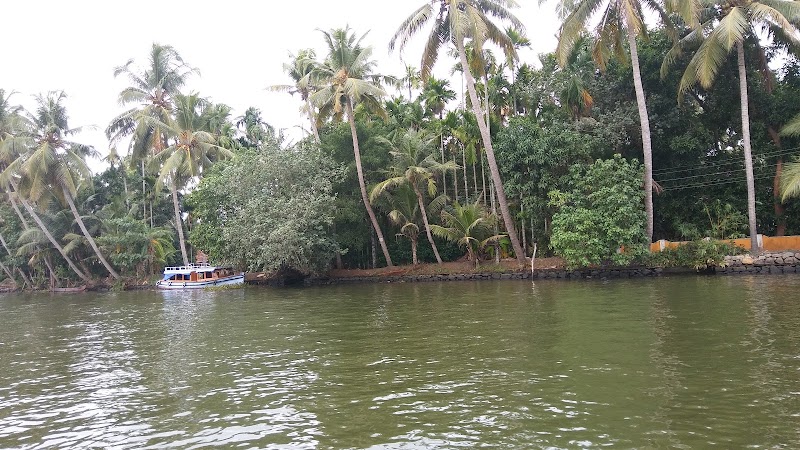 Dazzle Dew Memories - Dazzle Dew Memories, Thathampally, Alappuzha, Aryad South, Keralam 688013, India