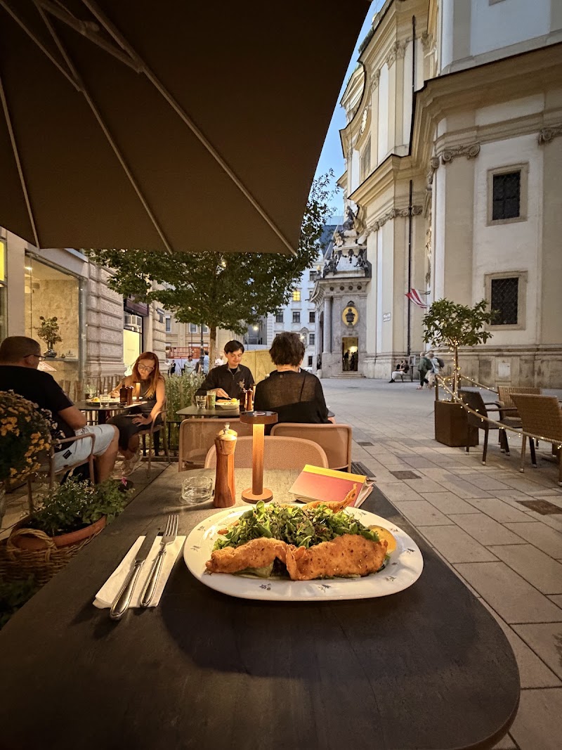 Dom Schnitzel (Petersplatz) - Dom Schnitzel (Petersplatz) Peterspl. 3, 1010 Wien, Austria