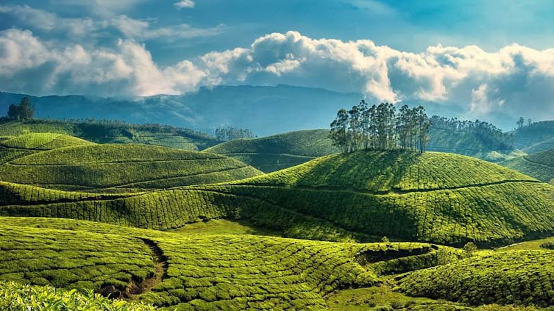 Kerala Tourism Hub