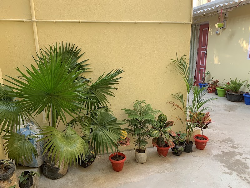 SRI JAGANNATH PURI DARSHAN HOME STAY - SRI JAGANNATH PURI DARSHAN HOME STAY, HOUSE NO-25, 62H, Lane, near SCS COLLEGE, Puri, Odisha 752001, India