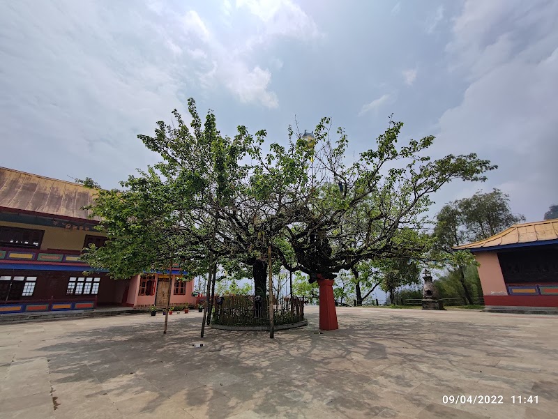 Phodong Monastery - Phodong Monastery CH7M+4GW, Sikkim 737116, India