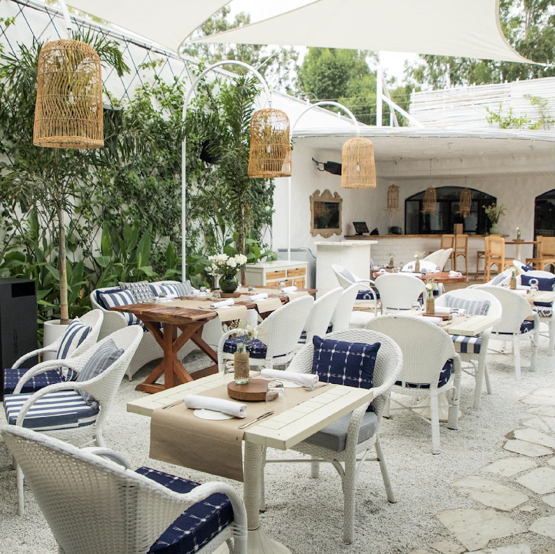Olive Café & Bar