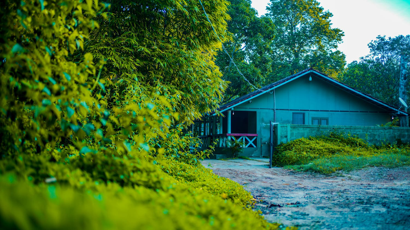 WAYANAD WILDLIFE RESORT - WAYANAD WILDLIFE RESORT Sathramkunnu road. 350 mtrs from Daymart, M785+QFF, Sathram Kunnu Rd, near Ankanvadi, Sathramkunnu, Sultan Bathery, Kerala 673592, India