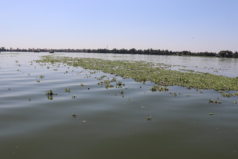 The Great Backwaters - The Great Backwaters G9G5+95J, Lake, Punnamada, Vembanad, Aryad South, Kerala 688006, India