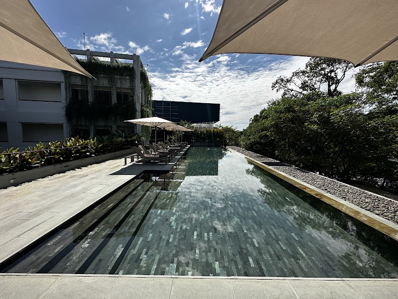 Treeline Urban Resort - Treeline Urban Resort Achasva Street Wat Bo Village, ក្រុងសៀមរាប, Cambodia