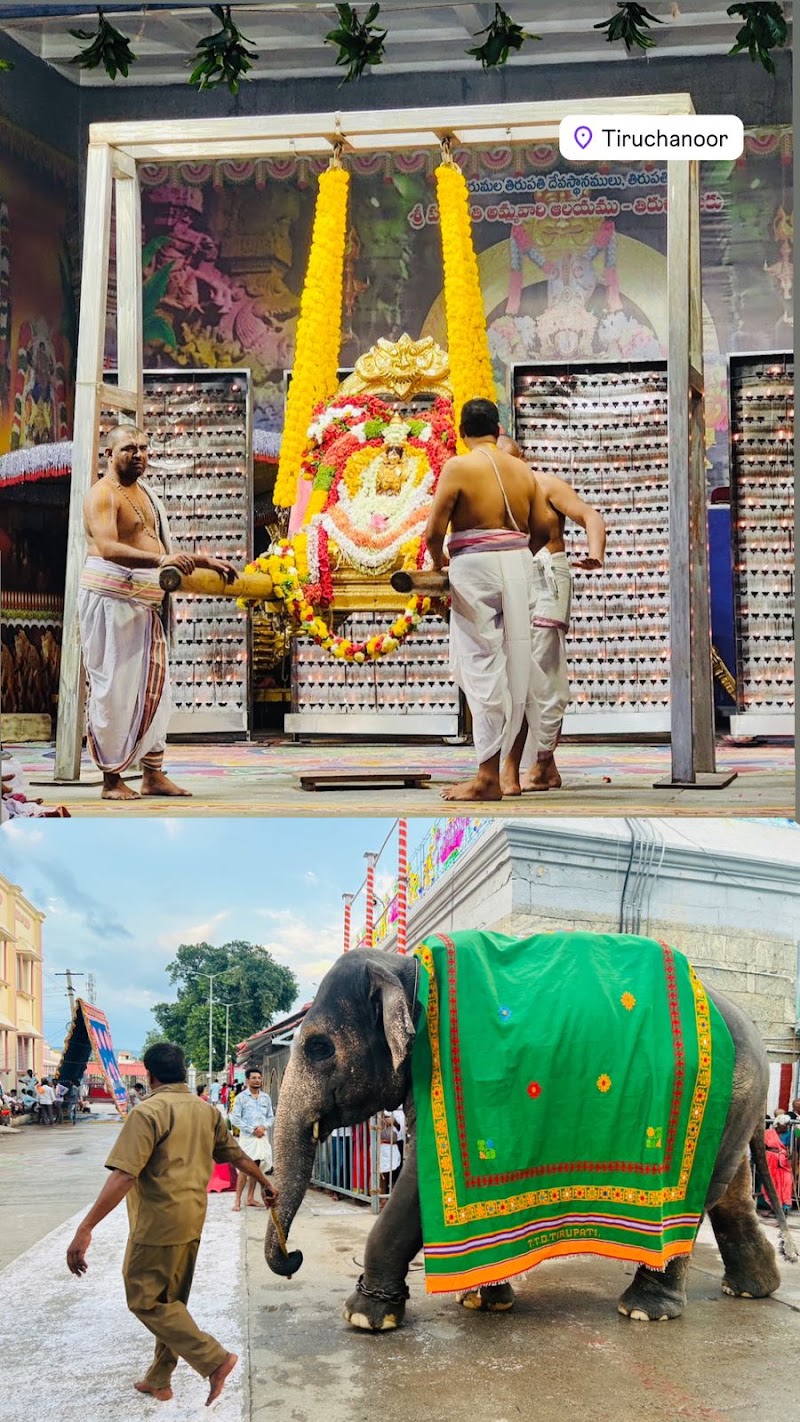 Sri Padmavati Ammavaari Temple, Tiruchanur (Alivelu Mangapuram) - Sri Padmavati Ammavaari Temple, Tiruchanur (Alivelu Mangapuram) Sannidhi St, Tiruchanur, Andhra Pradesh 517503, India