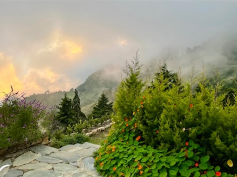 Sundays Forever Kings Cottage - Sundays Forever Kings Cottage, King's Cottage, Road, Dhanaulti, Suwakholi, Mussoorie, Uttarakhand 249180, India