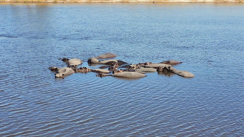 Mudumu National Park - Mudumu National Park, WG3G+C39, Muneambuanas, Namibia