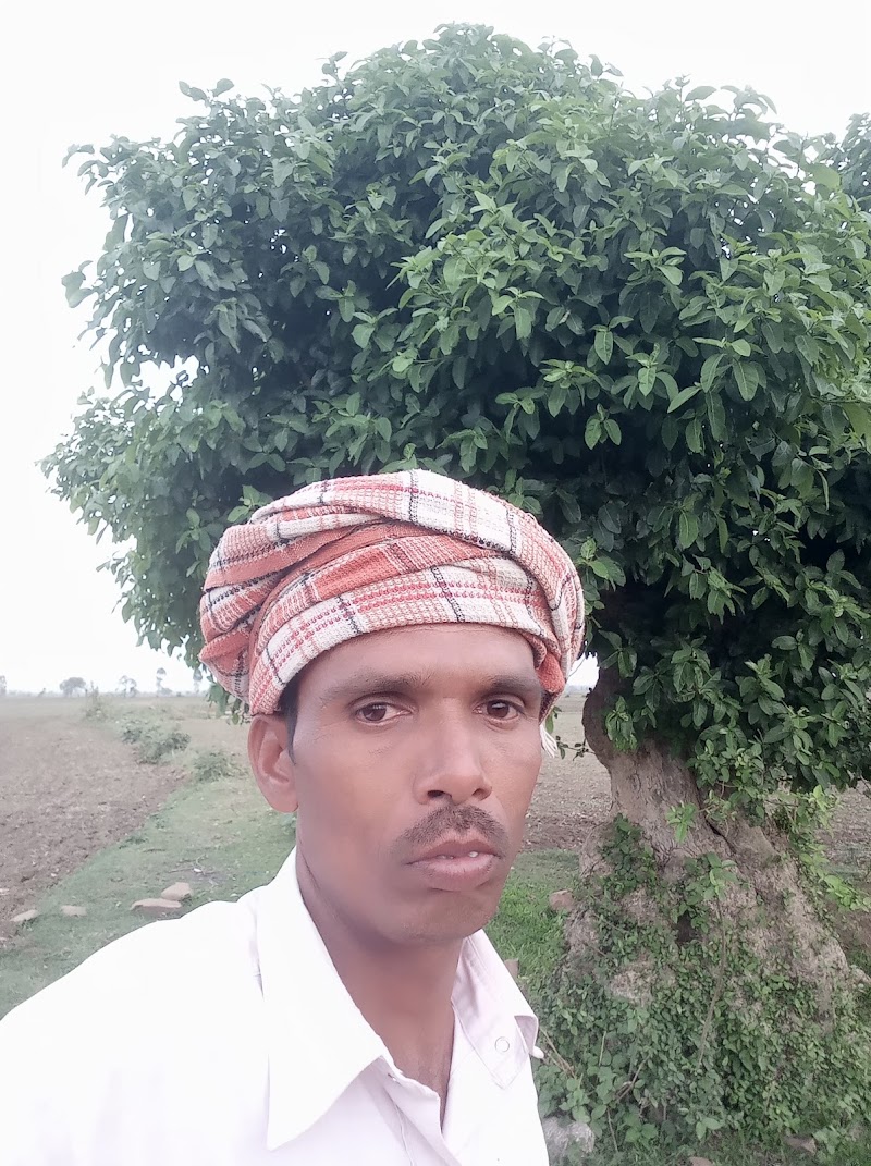 Kuaa - Kuaa, Kulla, Madhya Pradesh 470335, India