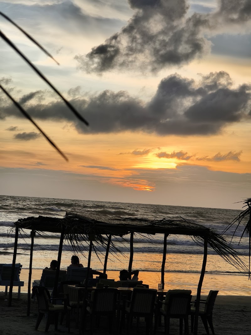 Cafe Morjim - Cafe Morjim Gawde Wada Rd, behind Papa jolly, Morjim, Goa 403512, India