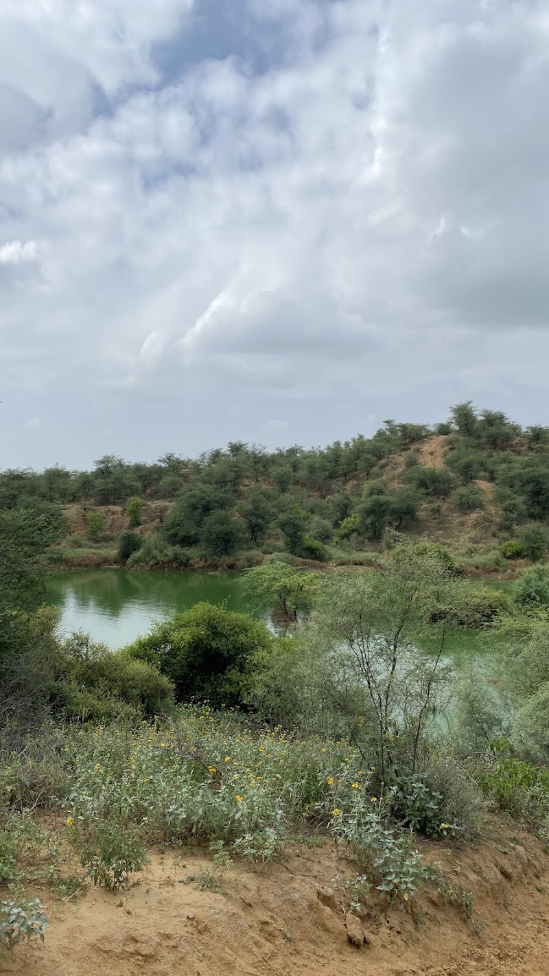 Leopard Hills - Leopard Hills Unnamed Road, 8XVV+5F2, Haryana 122101, India