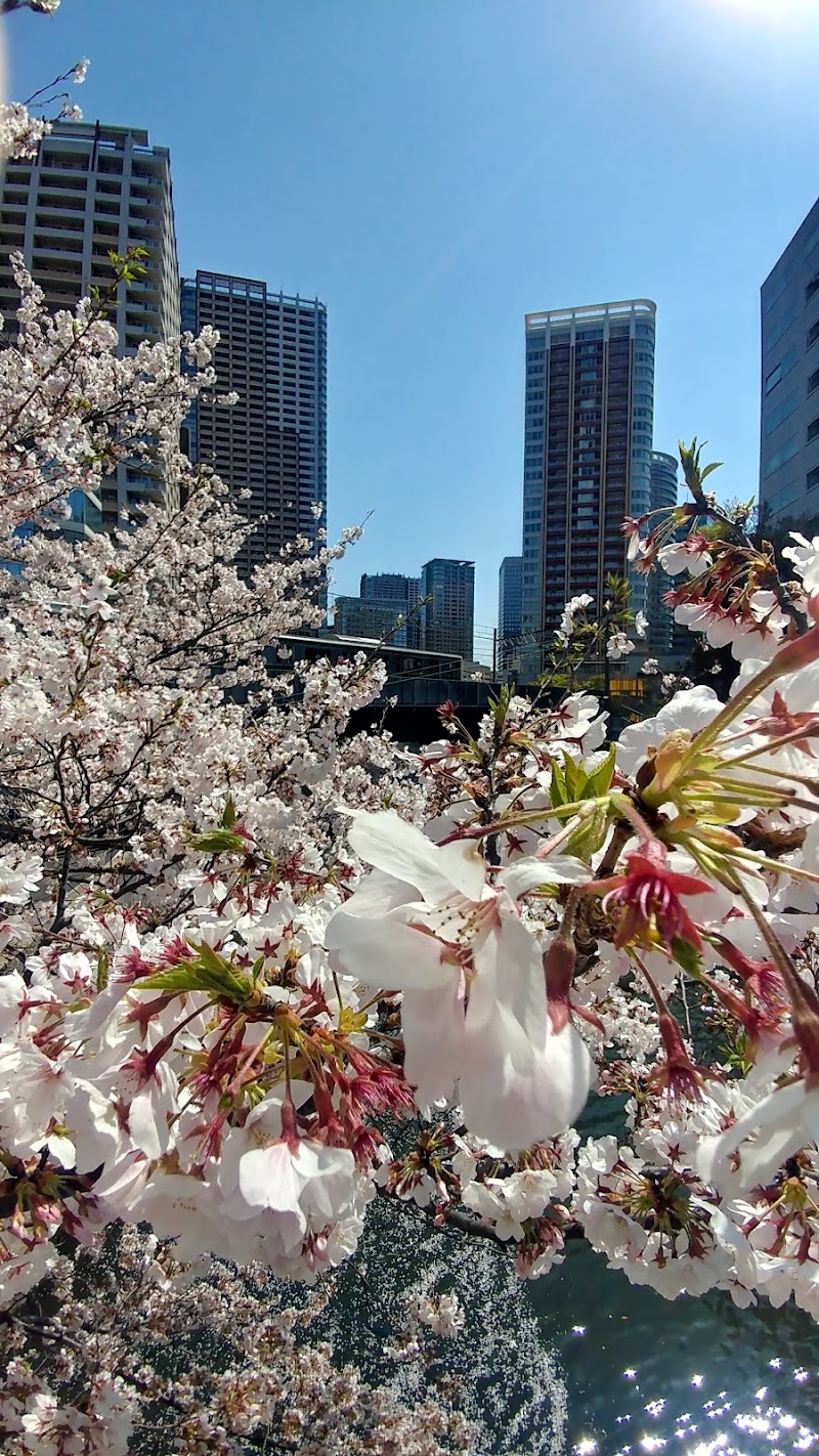 Gotanda - Gotanda, Shinagawa City, Tokyo, Japan
