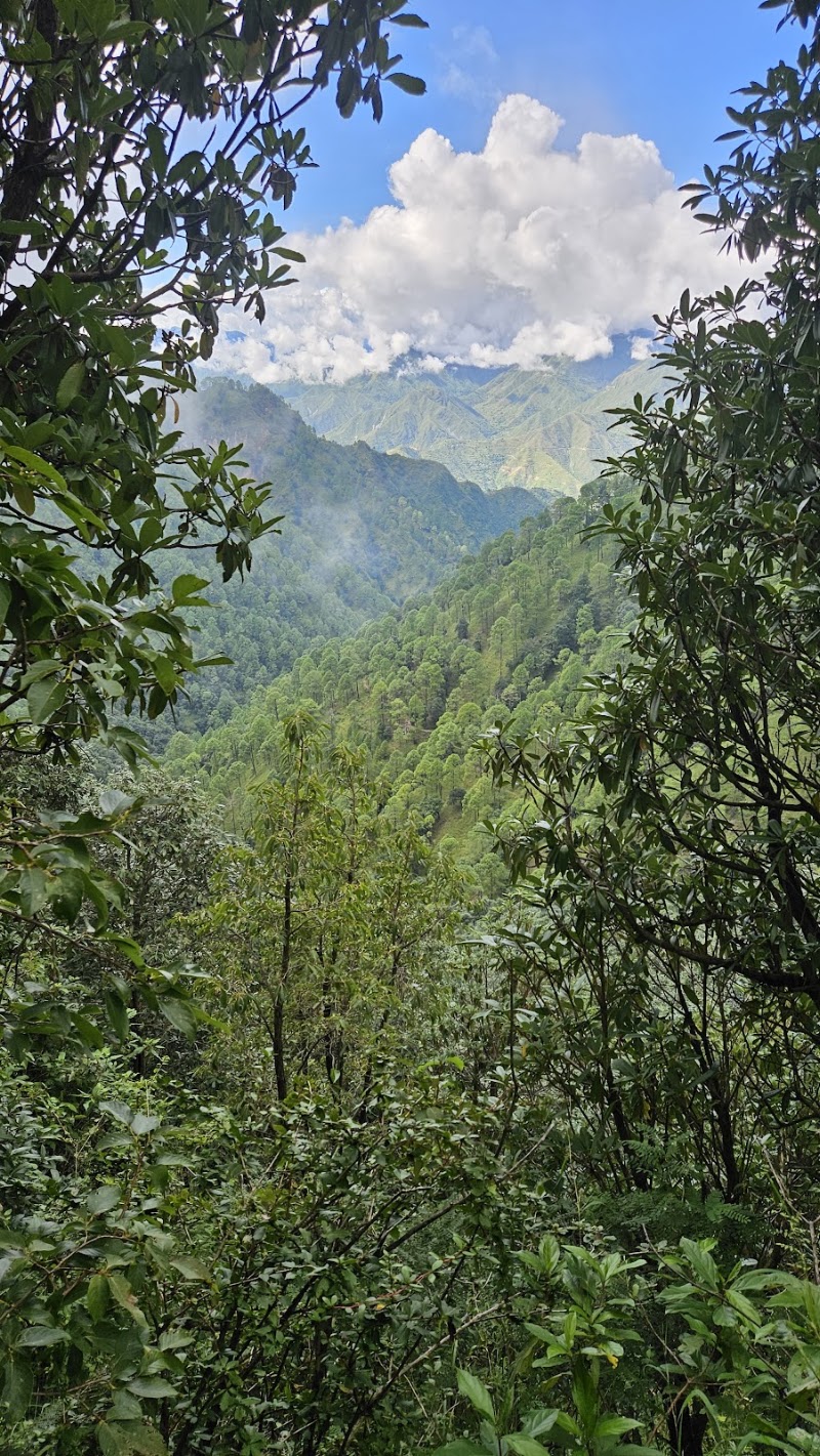Jabarkhet Nature Reserve, Mussorie - Jabarkhet Nature Reserve, Mussorie Nature Reserve, Jabarkhet, Landour, Mussoorie, Uttarakhand 248179, India