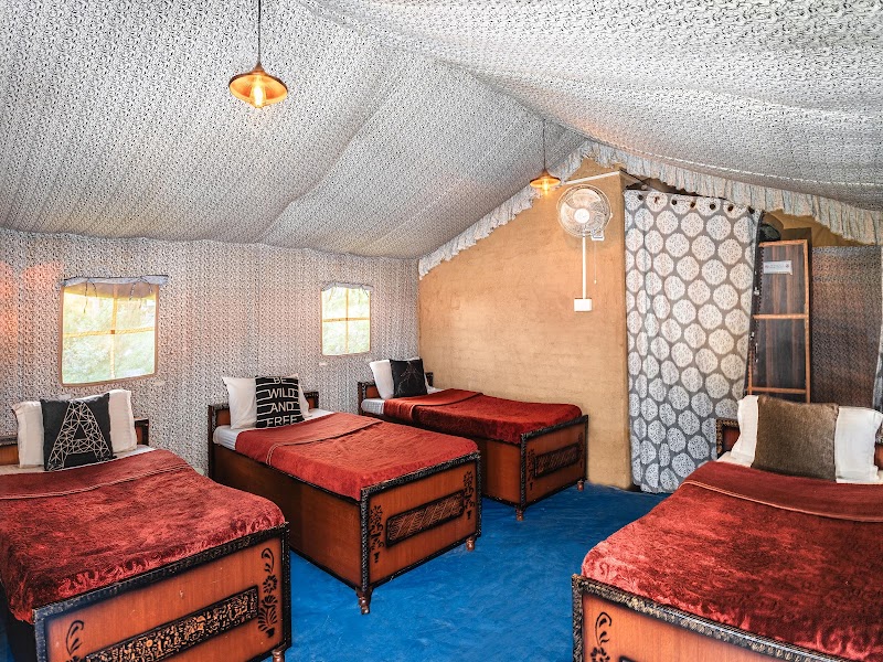 The Bunker Bir - The Bunker Bir Bir-Billing Rd, Kotli, Himachal Pradesh 176077, India