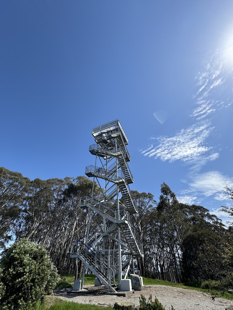 Yarra Ranges National Park - Yarra Ranges National Park, Lockwood Rd, Reefton VIC 3799, Australia