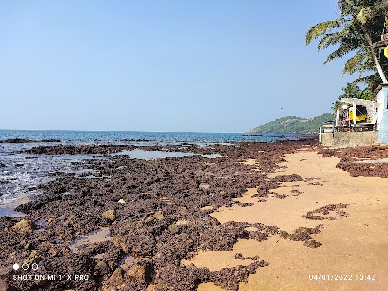 Anjuna Beach Sandsite - Anjuna Beach Sandsite, monteiro wado, Anjuna, Goa 403509, India