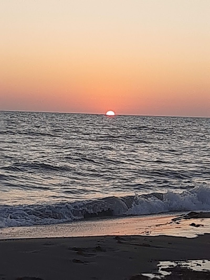 Oasi Fregene - Oasi Fregene, Lungomare di Levante, 22, 00054 Fregene RM, Italy