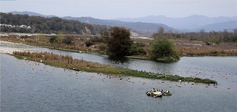 Kosi River - Kosi River Kosi River