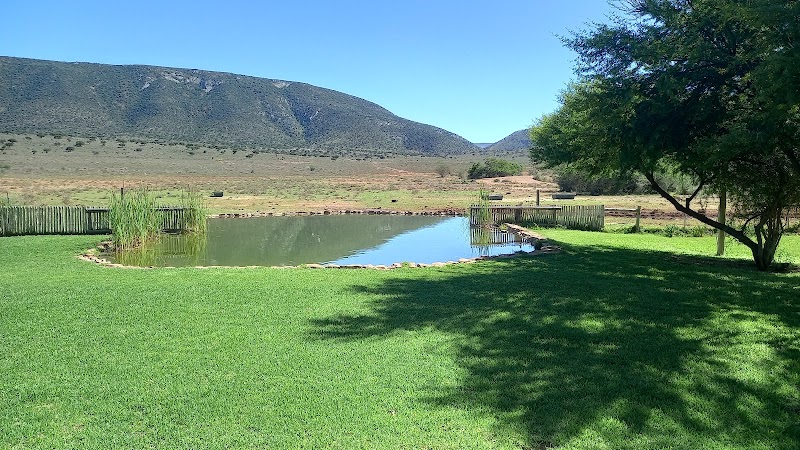Royal Karoo Safaris - Royal Karoo Safaris, Dorsfontein Road DR1858 Steytlerville District, Steytlerville, 6250, South Africa