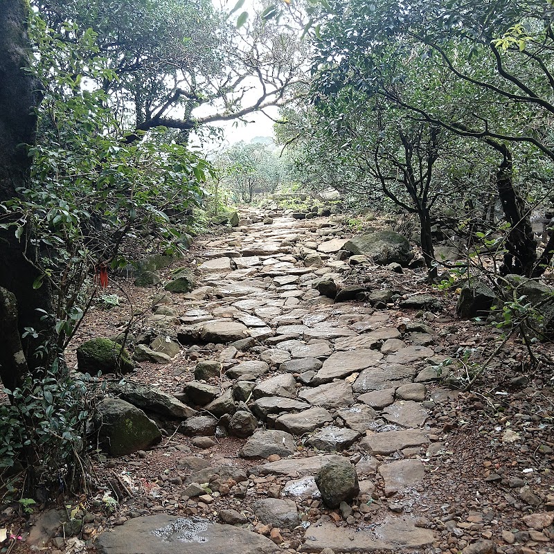 Gupt Bhimashankar Temple - Gupt Bhimashankar Temple, Pune, Bhimashankar, Maharashtra 410509, India