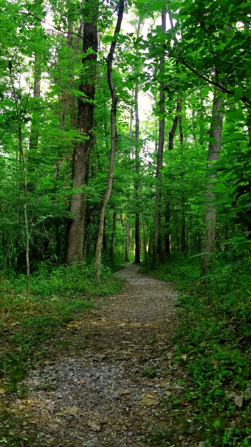 Green Earth Chautauqua Bottoms (David Kenney Trailhead) - Green Earth Chautauqua Bottoms (David Kenney Trailhead), 2127 W Meadow Ln, Carbondale, IL 62901, USA